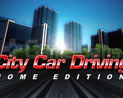 City Car Driving