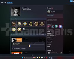 CS2 8 Madalyalı+10 Yıllık Rozetli Steam Hesabı