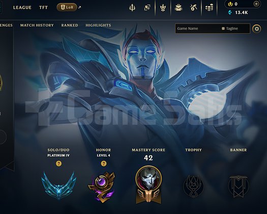 PLAT 4 60 WR HANDMADE 10 KOSTÜM