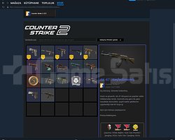eski kurulum 5 yıllık madalya ve cs go skinlerivar