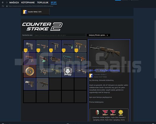 eski kurulum 5 yıllık madalya ve cs go skinlerivar