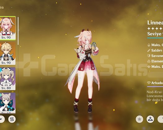 EU SERVER 56 AR HESAP