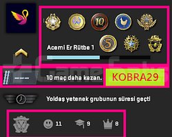 FACEİT+ 8 MADALYA 284 WİN 730 SAAT SEÇKİN