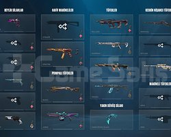 950 RR 6X RADIANT GUNBUDDY ACCOUNT