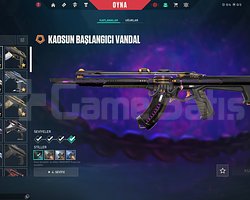 champions,alaz,vct , setli full+full videolu hesap
