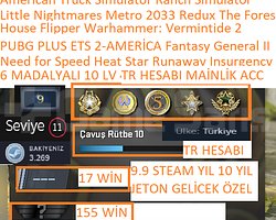 6 MADALYALI 10 LV TR HESABI PUBG PLUS NFS HEAT Sta