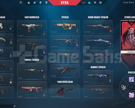 YİNE BOL VANDALLI BOL AKSİYONLU SKYESHOP GUVENCESI
