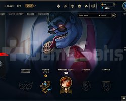 EUW 26 LEVEL 1 SKIN HANDMADE