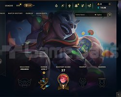 EUW 17 LEVEL HANDMADE 3 SKIN