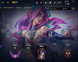 MAIN  HESAP  KULLANMALIK MASTER  ACCOUNT