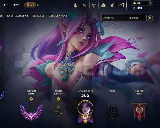 MAIN HESAP KULLANMALIK MASTER ACCOUNT