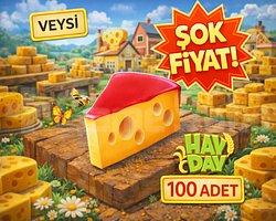 EN UCUZ 100 peynir