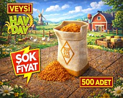 EN UCUZ 500 esmer şeker