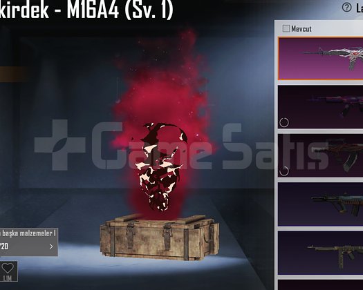 8 DESTANSI - İSKELET ÇEKİRDEK M16A4 - 4LV KLAN BED