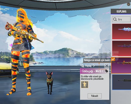 BU FIRSAT KAÇMAZ PUBG HESABI