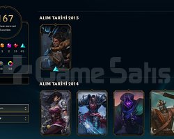 12 YILLIK EMEK | MASTER PEAK225LP | 167 SKIN