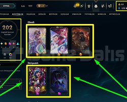 656 LVL + 202 KOSTÜM + 172 HERO + GOLD 1 + MAİL!
