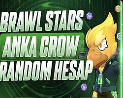 ANKA CROW 30 TL RANDOM HESAP VİP HESAP