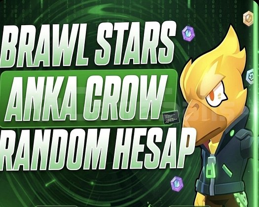 ANKA CROW 30 TL RANDOM HESAP VİP HESAP