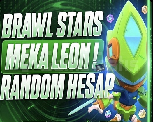 MEKA LEON 30 TL RANDOM HESAP VİP HESAP