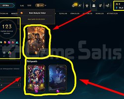 227 LVL + 123 KOSTÜM + 134 HERO + GOLD 1 + MAİL!