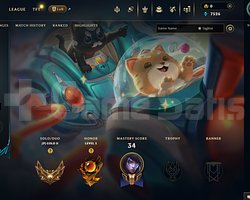 TR Gold 2 | 9 Kostüm - 51 Hero | LoL Hesap