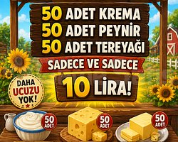 EN UCUZ MANDIRA BURADA 150 ADET EŞİT MANDIRA