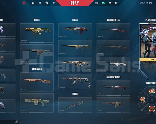 TR +22K VP / CHAMP 24 SET / 2 VANDAL + RGX KELEBEK
