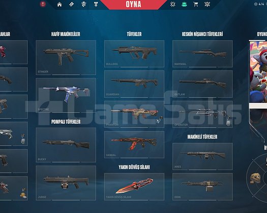 YUCELİK 1 BOL SKİNLİ MAİNLEMELİK HESAP