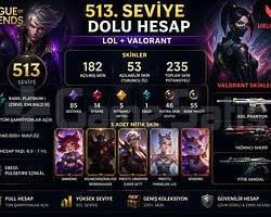 513 LEVEL 200+ SKIN  FULL CHAMP