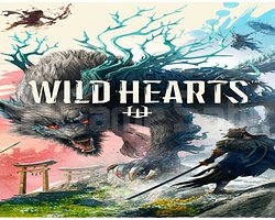 WILD HEARTS