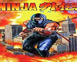 NINJA GAIDEN 2