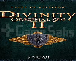 Divinity Original Sin 2
