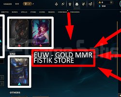 EUW / 44 LVL + 5 SKİN + GOLD MMR + MAİL !!