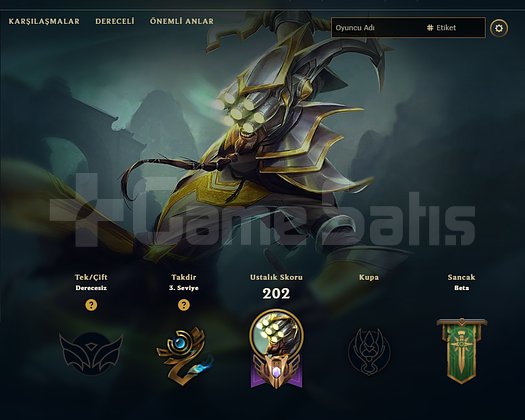 TR HANDMADE 40 SKIN TEMİZ HESAP HAZIR 10/10