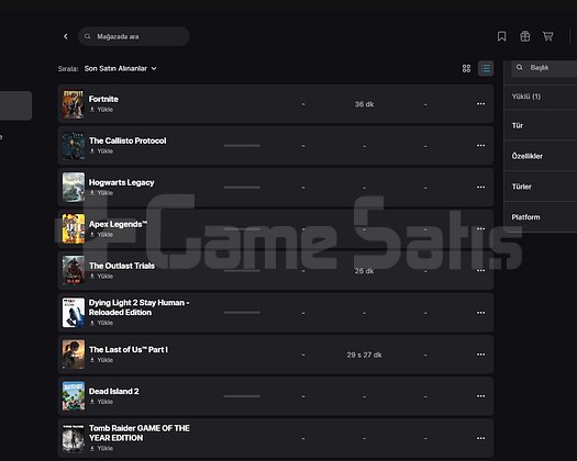 Sorunsuz Epic Games