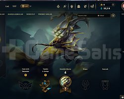 30 Level 22 K Mavi özlü TR UNRANKED HESAP