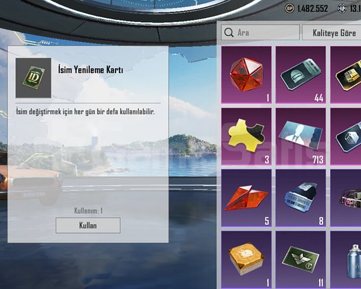 65 LEVEL ENVANTER HESABI 18 EFSANEVI TEK BAĞ
