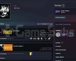 LV3/11 oyunlu/Mail değişen