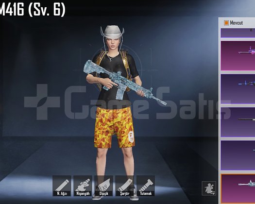 BAPE +133 DESTANSI NADİRLİK ABİDESİ