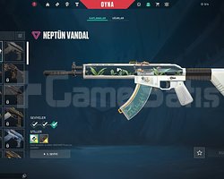 Tr Mailli Onı Phantom Neptüm Vandal Sılver