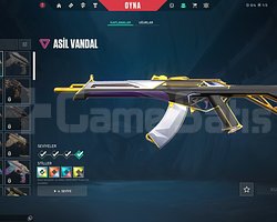 Tr Mailli Yağmacı Phantom Asil Vandal BRONZ