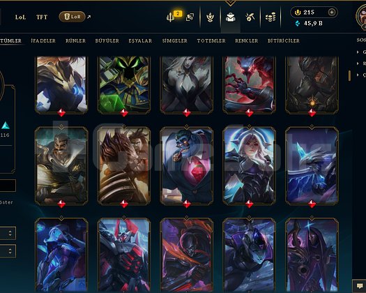 467 LEVEL / 321 SKİN / FUL HERO +MAİL +TELEFON