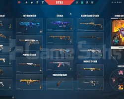 Valorant 316 Lv Uygun Bol Skin