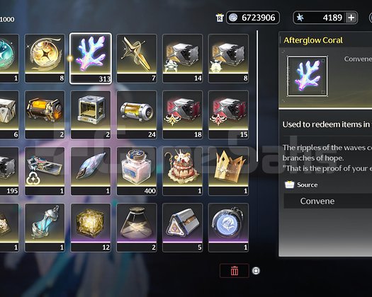 UL 74 | Aemeath Bis + Chisa Premium