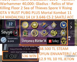 14 MADALYALI 14 LV 3.646 CS 2 SAATLİ GTA V RUST PU