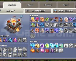 11bb max