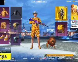 BAPE FULL