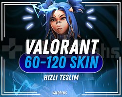 TR SUNUCU 60-120 SKIN VALORANT RANDOM HESAP