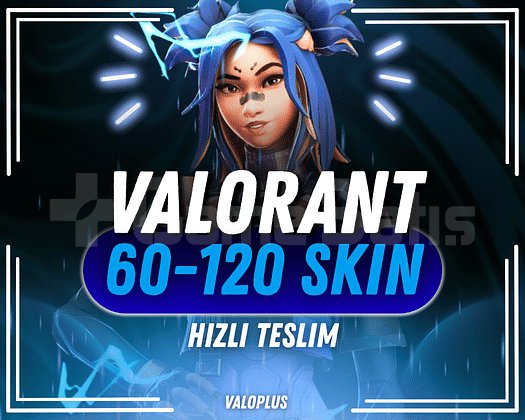 TR SUNUCU 60-120 SKIN VALORANT RANDOM HESAP